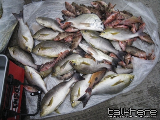 照片 100.jpg
