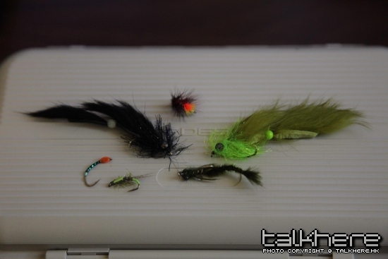Some flies we caught on 
