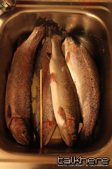 Brought some home and the rest are back safe in the water