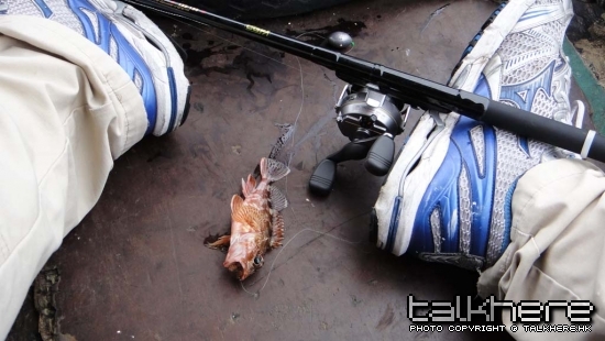 fish2.jpg