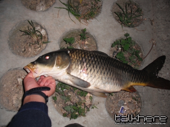 DSCF6312.jpg