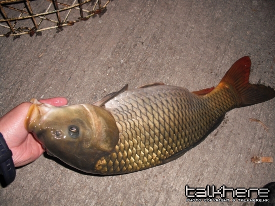 DSCF6053.jpg