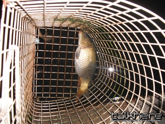 DSCF6043.jpg