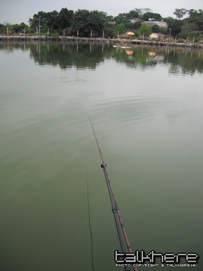 DSCF6480.jpg
