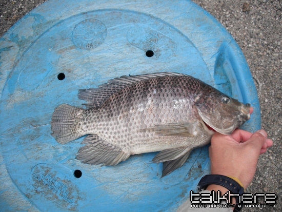 照片 020.jpg