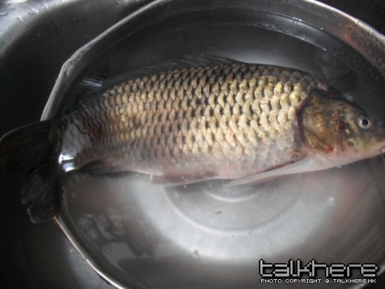 照片 045.jpg