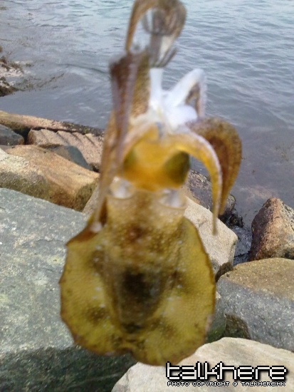 20100504020.jpg
