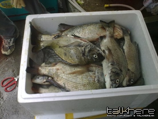照片 146.jpg