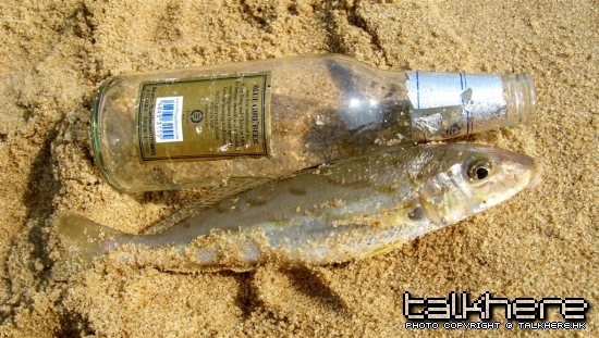SL270913.JPG