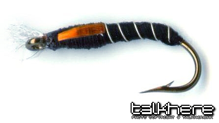 buzzer-blackandorangecheeked.jpg