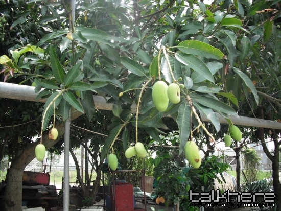 照片 184.jpg