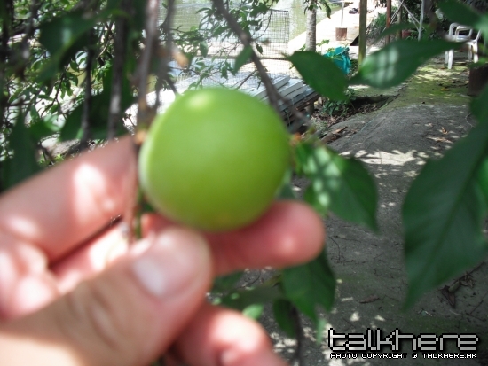 照片 193.jpg