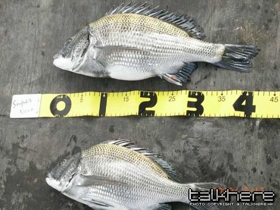 RIMG0250-縮圖.JPG