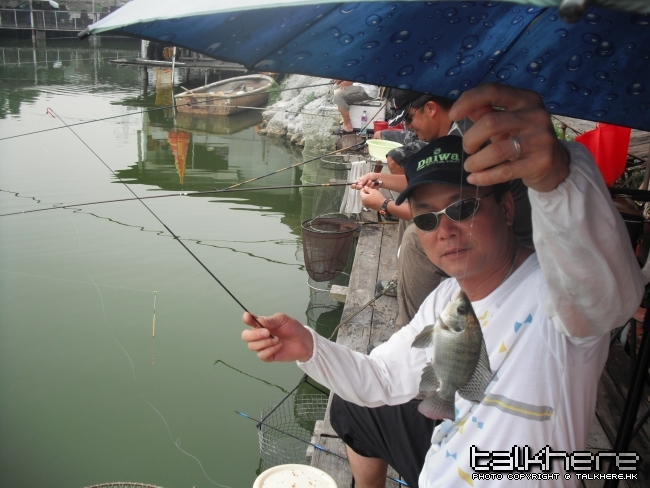 照片 017.jpg