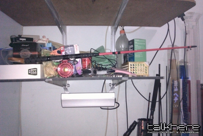 IMAG0155.jpg