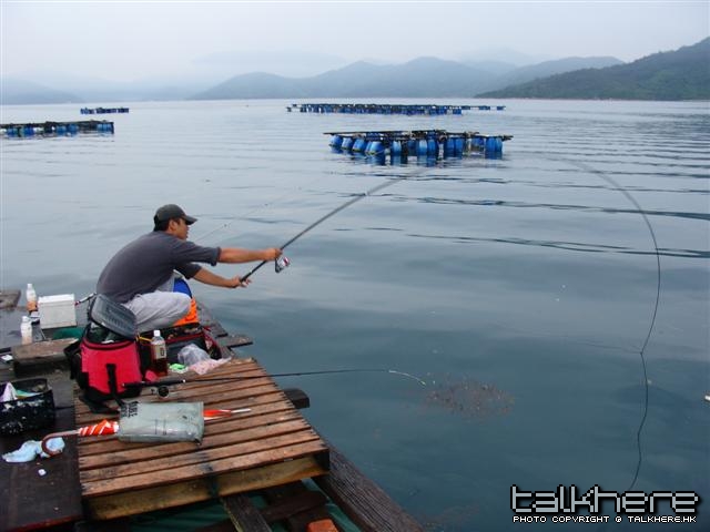 照片 003 (Small).jpg