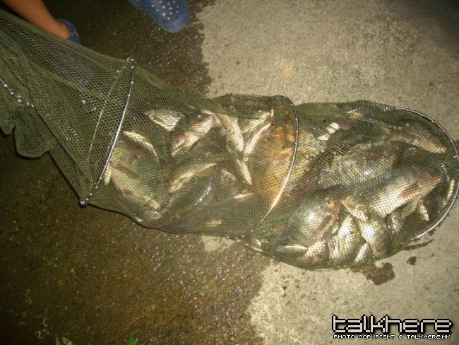唯 (7).JPG