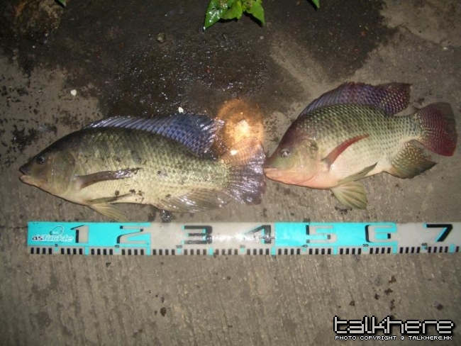 唯 (2).JPG
