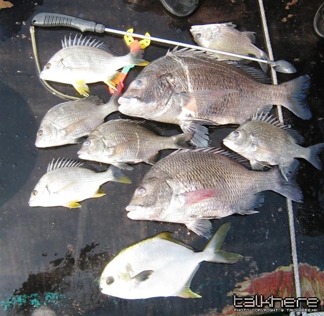 照片 015 (Small).jpg