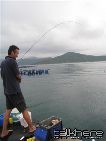 照片 008 (Small).jpg