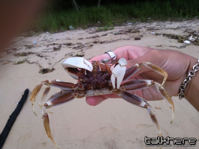 相片0081.jpg