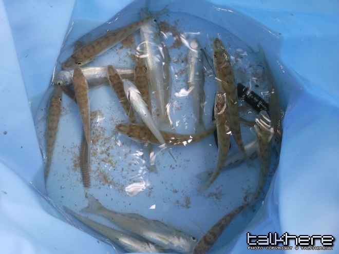相片0055.jpg