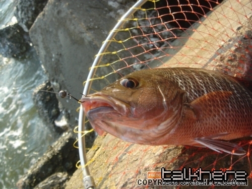 20080830_86933866fbc40b8c79d9sA8AwY5n2nzQ.jpg