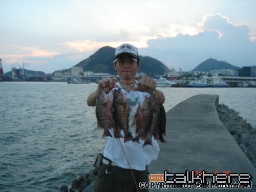 20080830_a538e620420fc24b75c47mCpcUb2oo1f.jpg