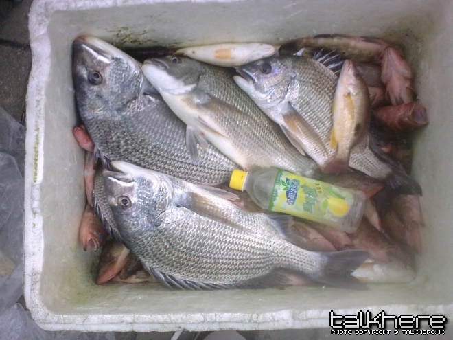 20100221252.jpg