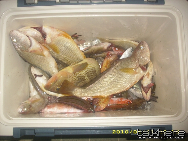 部份魚穫