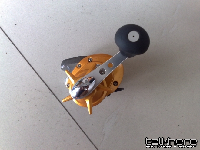 20100630203.jpg