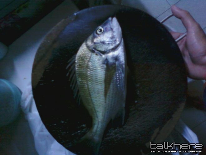 相片0308.jpg