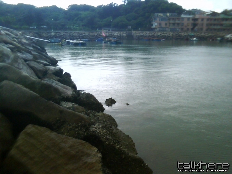 DSC00083.JPG
