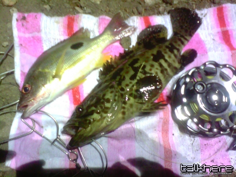 img013.jpg