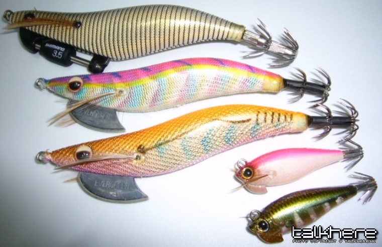 fish003.jpg