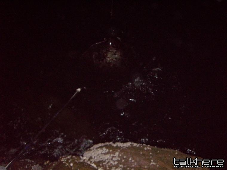1007120129ee2b61f0f73ef25f.jpg