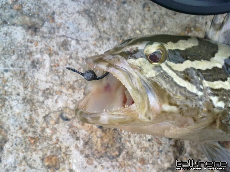 圖像051.jpg