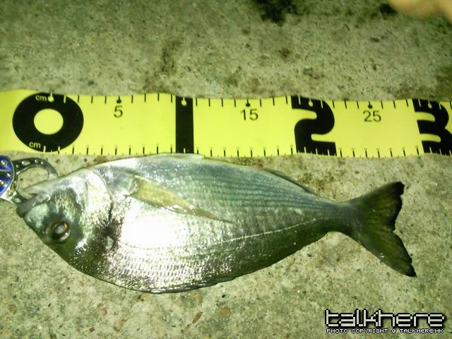 SNC00018.jpg