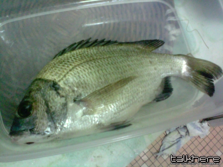 img034.jpg
