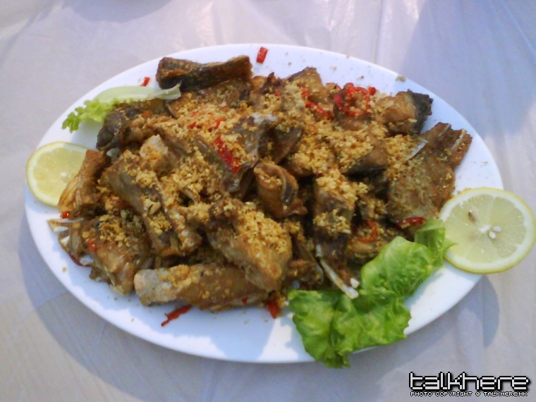 DSC00222.JPG