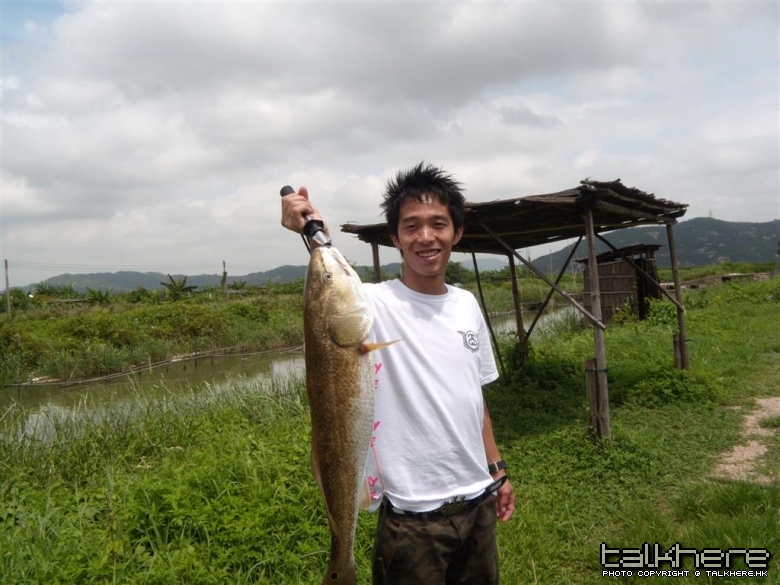 DSCN3764 (Large).JPG