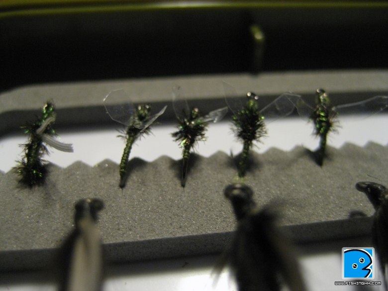 ugly far left, first ever tied  fly.
