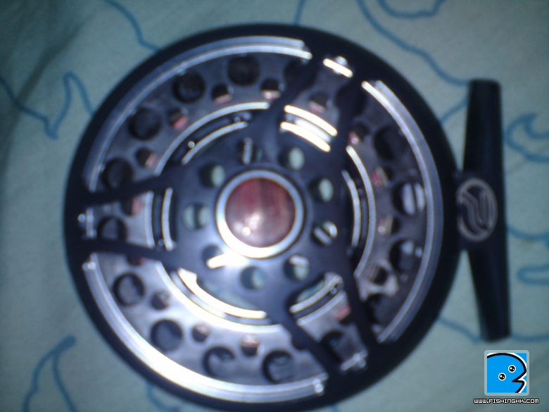 DSC00491.JPG