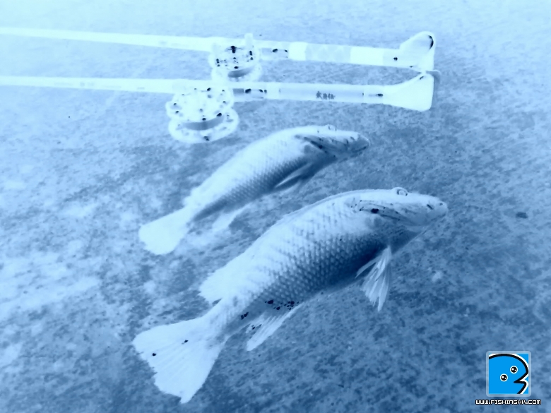 26082010274.jpg