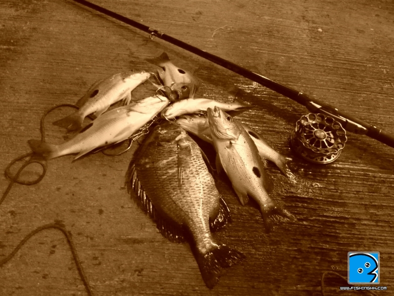 P1050097.JPG