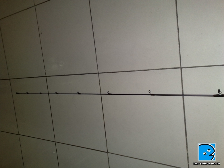 20100829528.jpg
