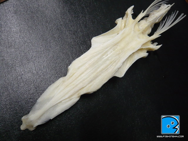 P1030726_resize.JPG