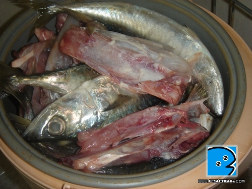 用剥皮魚假骨魚同埋花慈。