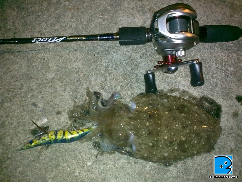 20100906590.jpg