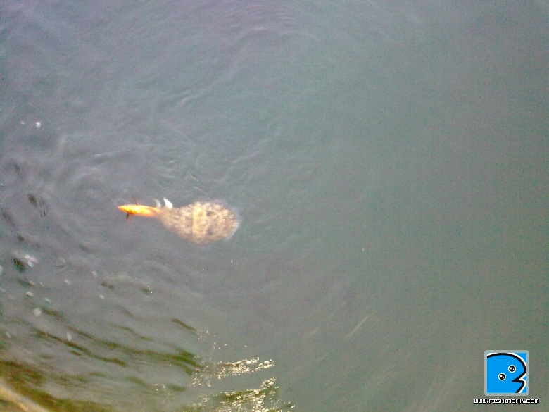 20100906599.jpg